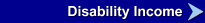 Disability Income