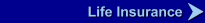 Life Insurance